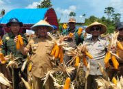 Ditengah Gelombang Evesiensi Anggaran, Pemda Muna Berhasil Genjot Pertumbuhan Ekonomi Tembus Angka 5,59%.
