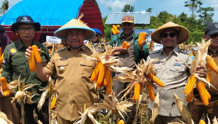 Ditengah Gelombang Evesiensi Anggaran, Pemda Muna Berhasil Genjot Pertumbuhan Ekonomi Tembus Angka 5,59%.